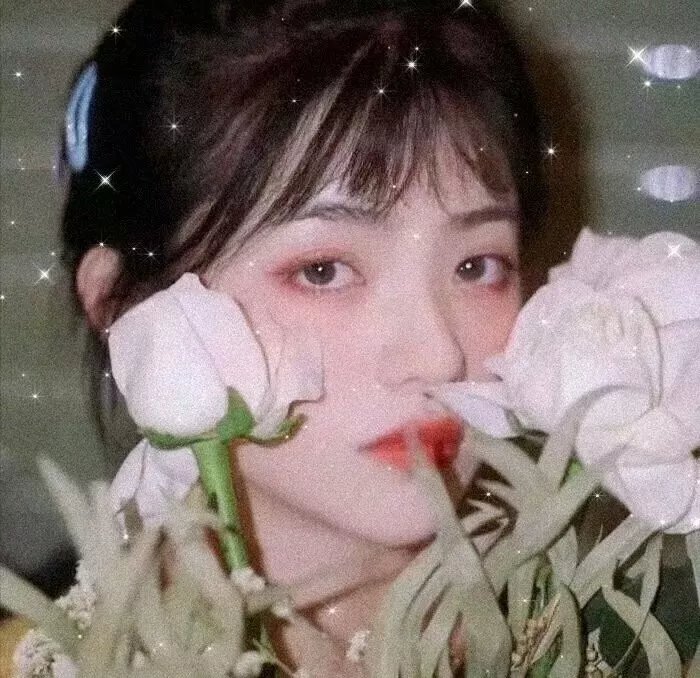 玛姬的计划